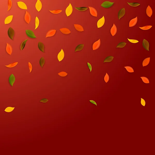 Feuilles Automne Tombantes Feuilles Aléatoires Rouges Jaunes Vertes Brunes Volant — Image vectorielle