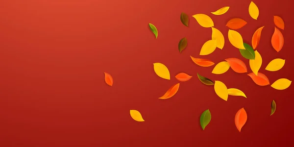 秋の紅葉 茶色のきれいな葉が飛んでいます 古典的な赤の背景に爆発カラフルな葉 学校の売り上げに戻る — ストックベクタ