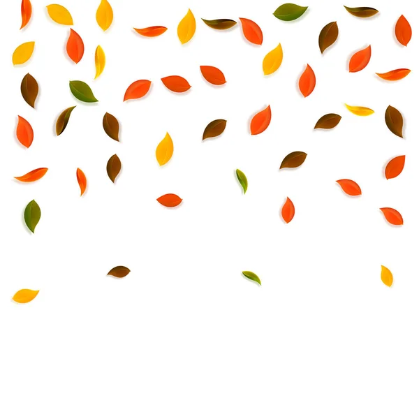 Fallende Herbstblätter Rote Gelbe Grüne Braune Blätter Fliegen Umher Fallender — Stockvektor