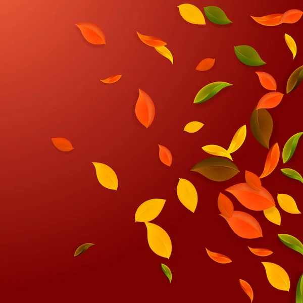 Falling Autumn Leaves Red Yellow Green Brown Chaotic Leaves Flying — ストックベクタ