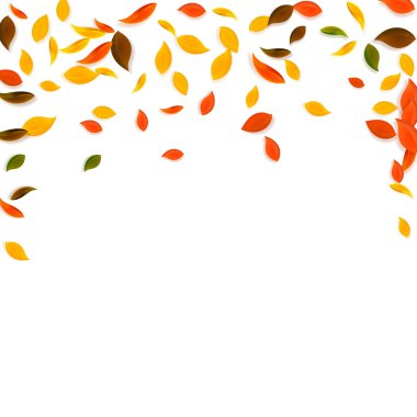 Sonbahar yaprakları dökülüyor. Kırmızı, sarı, yeşil, kaotik yapraklar uçuşuyor. Güzel görünümlü beyaz arka planda yağan renkli yapraklar. Okul satışına geri dönmek nefes kesici..