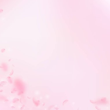 Sakura yaprakları dökülüyor. Romantik pembe çiçek köşesi. Pembe kare arka planda uçan taç yaprakları. Aşk, romantizm kavramı. Nadir bir düğün davetiyesi.