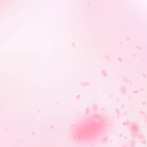 桜の花びらが落ちています ロマンチックなピンクの花のコーナー ピンクの正方形の背景に花びらを飛んでいます ロマンス概念 大胆な結婚式招待状 — ストック写真