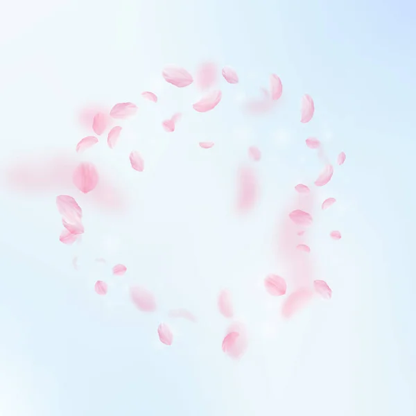 Sakura Petals Falling Romantic Pink Flowers Frame Flying Petals Blue — Stock Photo, Image