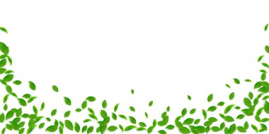 Düşen yeşil yapraklar. Kaotik taze çay yaprakları uçuşuyor. Sarı yeşil arka planda bahar yaprakları dans ediyor. İnanılmaz bir yaz şablonu. Fevkalade bahar indirimi illüstrasyonu.