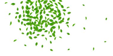 Düşen yeşil yapraklar. Kaotik taze çay yaprakları uçuşuyor. Sarı yeşil arka planda bahar yaprakları dans ediyor. İnanılmaz bir yaz şablonu. İlkbahar indirimi.