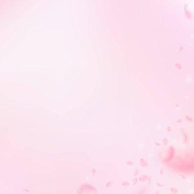 Sakura yaprakları dökülüyor. Romantik pembe çiçek köşesi. Pembe kare arka planda uçan taç yaprakları. Aşk, romantizm kavramı. Muhteşem düğün davetiyesi..