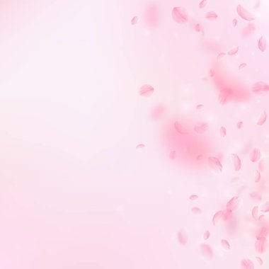 Sakura yaprakları aşağı düşen. Romantik pembe çiçekler degrade. Yaprakları pembe kare arka plan üzerinde uçan. Aşk, romantizm kavramı. Hayatta düğün davetiyesi.