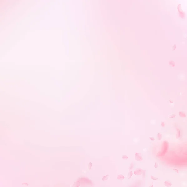 Padají Okvětní Lístky Sakury Romantický Růžový Květinový Koutek Létající Okvětní — Stock fotografie