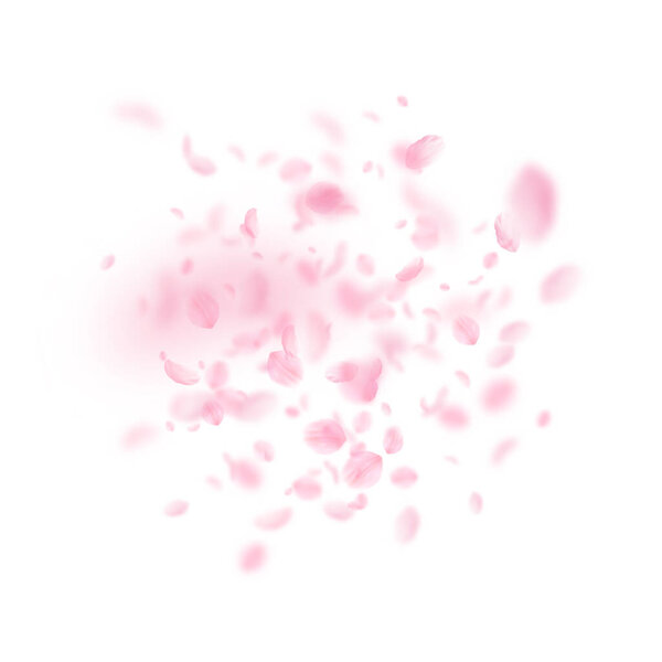 Sakura petals falling down. Romantic pink flowers explosion. Flying petals on white square background. Love, romance concept. Fine wedding invitation.