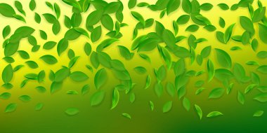 Düşen yeşil yapraklar. Kaotik taze çay yaprakları uçuşuyor. Beyaz arka planda bahar yaprakları dans ediyor. Eğlenceli bir yaz şablonu. Canlı bahar indirimi illüstrasyonu.