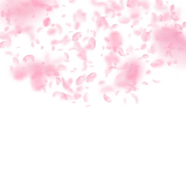 Sakura Petals Falling Romantic Pink Flowers Semicircle Flying Petals White — Stock Photo, Image