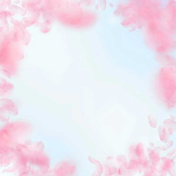 Sakura Yaprakları Dökülüyor Romantik Pembe Çiçekler Gibi Mavi Gökyüzü Kare — Stok fotoğraf