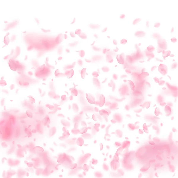 Sakura Petals Falling Romantic Pink Flowers Gradient Flying Petals White — Stock Photo, Image