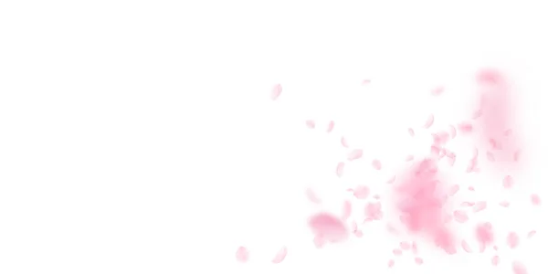 Płatki Sakury Spadają Romantyczna Eksplozja Różowych Kwiatów Latające Płatki Białym — Zdjęcie stockowe