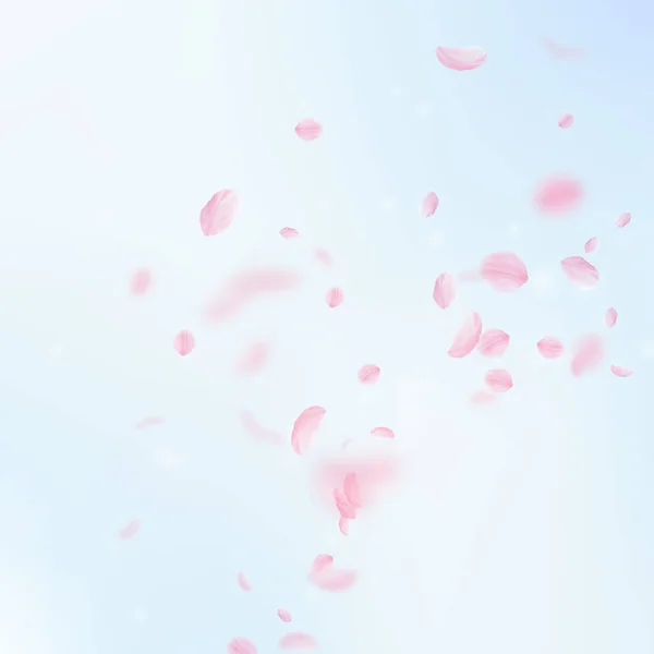 樱花花瓣飘落 浪漫的粉色花朵角落 蓝天正方形背景上飘扬的花瓣 浪漫的概念 未经批准的婚宴请柬 — 图库照片