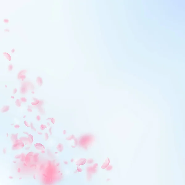 樱花花瓣飘落 浪漫的粉色花朵角落 蓝天正方形背景上飘扬的花瓣 浪漫的概念 华丽的婚宴请柬 — 图库照片