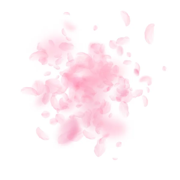 Sakura Lístky Padající Romantické Růžové Květy Exploze Letící Květy Bílém — Stock fotografie