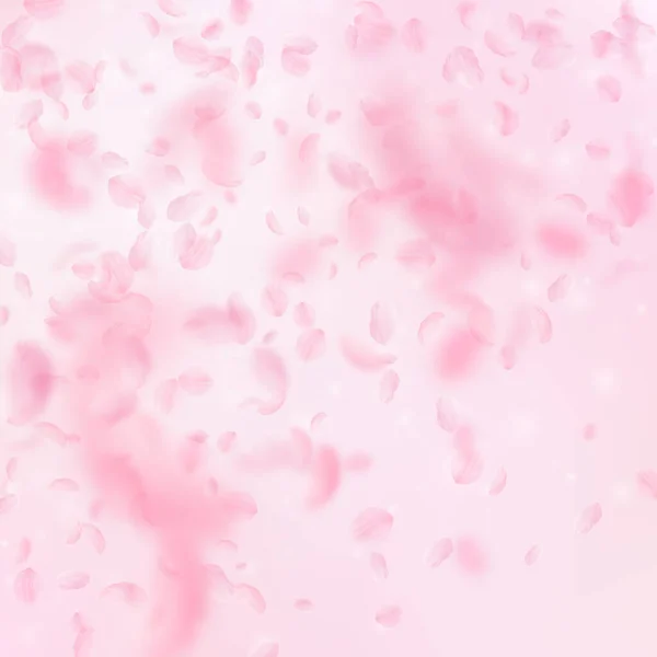 Sakura Petals Falling Romantic Pink Flowers Gradient Flying Petals Pink — Stock Photo, Image