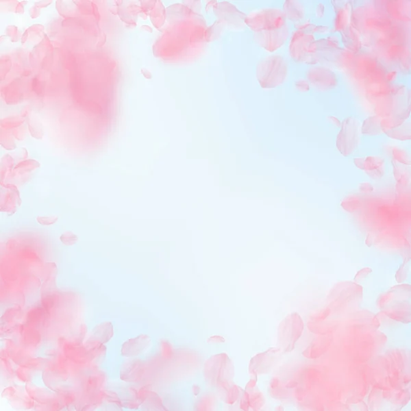 Sakura Petals Falling Romantic Pink Flowers Vignette Flying Petals Blue — Stock Photo, Image
