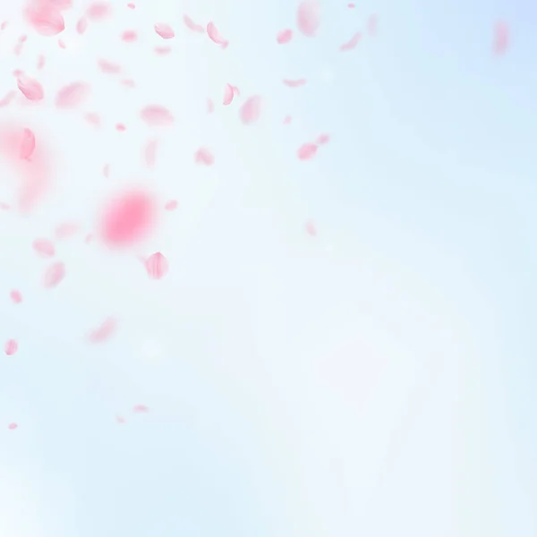 사쿠라 꽃잎이 떨어진다 로맨틱 분홍색 하늘을 배경으로 날으는 로맨스의 예술적 — 스톡 사진