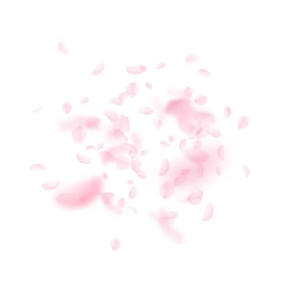 桜の花びらが落ちてきた ロマンチックなピンクの花の爆発 白い四角形の背景に空飛ぶ花弁 恋愛概念 結婚式の招待状 — ストック写真