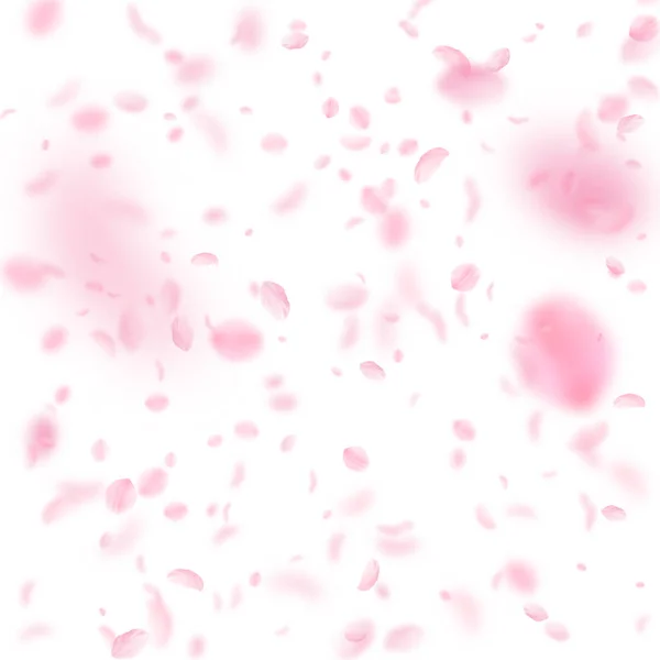 樱花花瓣落下 浪漫的粉红色花朵落下雨 在白色正方形背景上的飞花瓣 浪漫的概念 原结婚请柬 — 图库照片