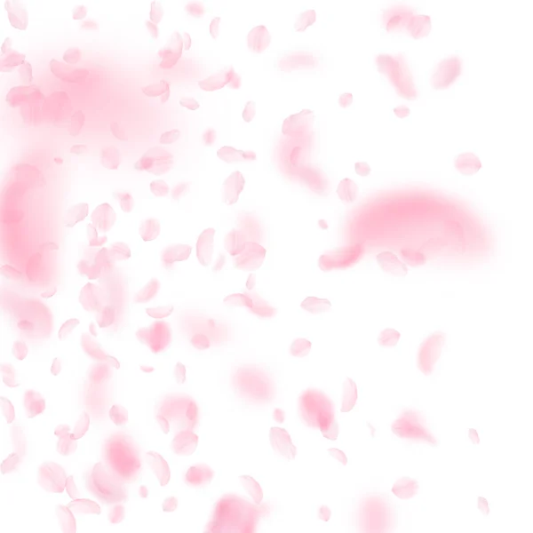 桜の花びらが落ちています ロマンチックなピンクの花のグラデーション 白い正方形の背景に花びらを飛んでいます ロマンス概念 息をのむよう結婚式招待状 — ストック写真