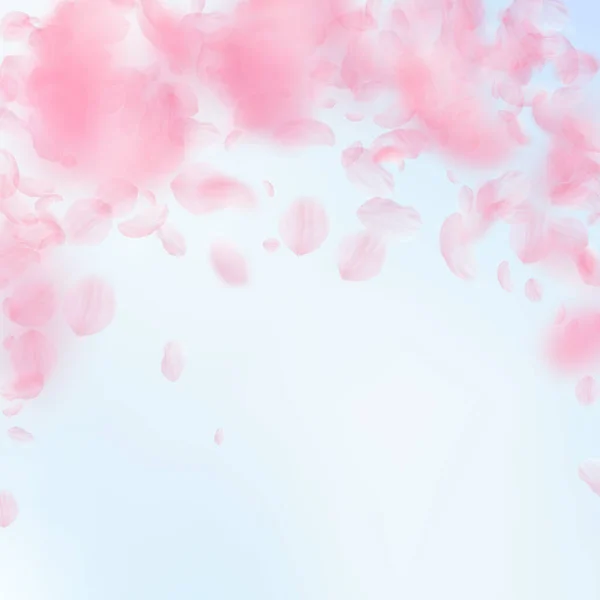 桜の花びらが落ちています ロマンチックなピンクの花は 雨が降っています 青い空の正方形の背景に花びらを飛んでいます ロマンス概念 格好良い結婚式招待状 — ストック写真