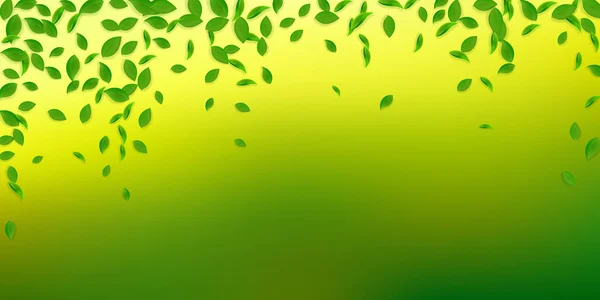 Vallende Groene Bladeren Verse Thee Chaotische Bladeren Vliegen Lente Gebladerte — Stockfoto