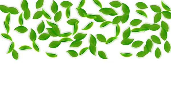 Падающие Зеленые Листья Летают Свежие Листья Чая Весенняя Листва Танцует — стоковое фото