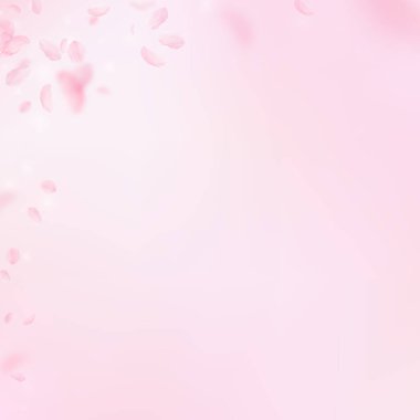 Sakura yaprakları dökülüyor. Romantik pembe çiçek köşesi. Pembe kare arka planda uçan taç yaprakları. Aşk, romantizm kavramı. Saygın düğün davetiyesi.