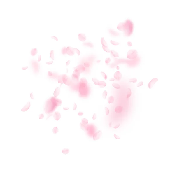 桜の花びらが落ちています ロマンチックなピンクの花の爆発 白い正方形の背景に花びらを飛んでいます ロマンス概念 恍惚とした結婚式招待状 — ストック写真