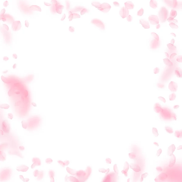 桜の花びらが落ちています ロマンチックなピンクの花のフレーム 白い正方形の背景に花びらを飛んでいます ロマンス概念 結婚式の招待を喜ばせる — ストック写真