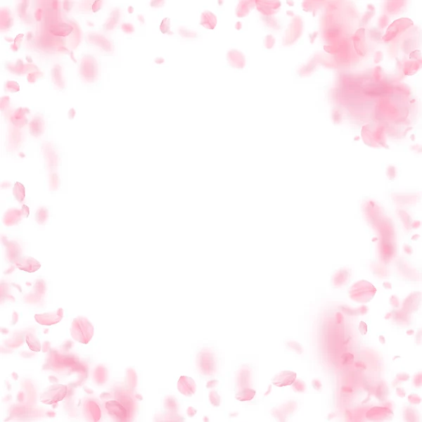 Лепестки Сакуры Падают Романтические Розовые Цветы Виньетка Летающие Лепестки Белом — стоковое фото
