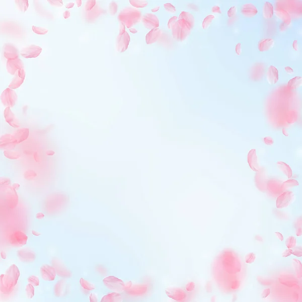 Лепестки Сакуры Падают Романтические Розовые Цветы Рамка Летающие Лепестки Голубом — стоковое фото