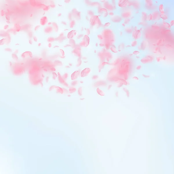 樱花花瓣飘落 浪漫的粉红色花朵半圆形 蓝天正方形背景上飘扬的花瓣 浪漫的概念 酷婚宴请柬 — 图库照片