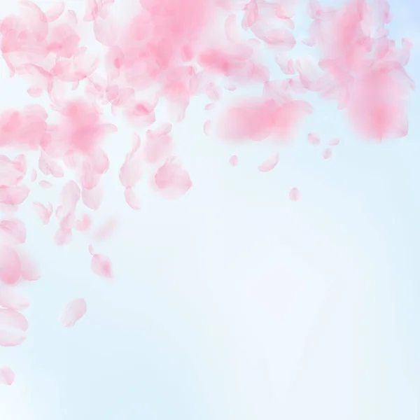 樱花花瓣飘落 浪漫的粉红花朵下着雨 蓝天正方形背景上飘扬的花瓣 浪漫的概念 令人印象深刻的婚宴邀请 — 图库照片