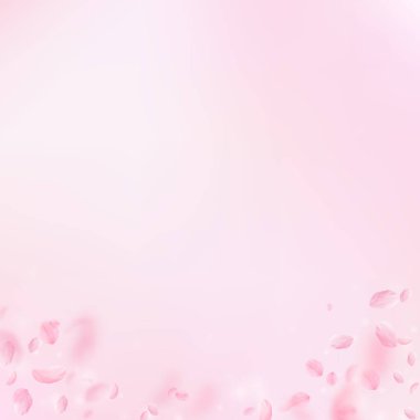 Sakura yaprakları aşağı düşen. Romantik pembe çiçekler degrade. Yaprakları pembe kare arka plan üzerinde uçan. Aşk, romantizm kavramı. Parlak düğün davetiyesi.