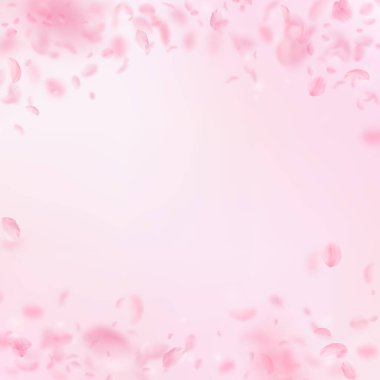 Sakura yaprakları dökülüyor. Yağmur yağan romantik pembe çiçekler. Pembe kare arka planda uçan taç yaprakları. Aşk, romantizm kavramı. Muhteşem düğün davetiyesi..