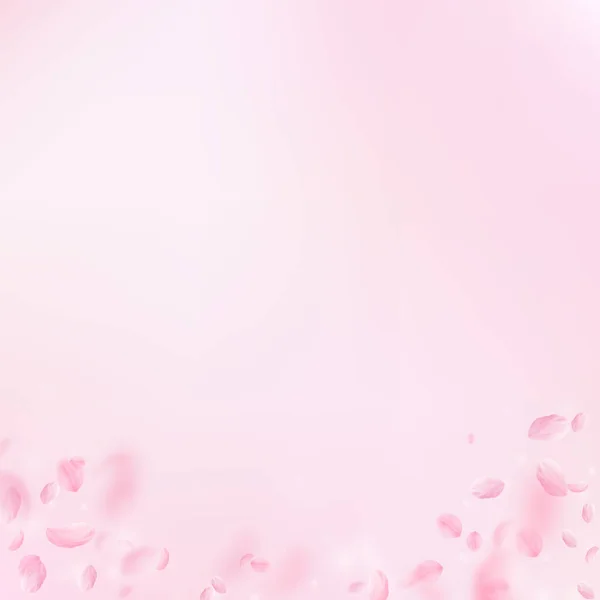 Sakura Πέταλα Που Πέφτουν Ρομαντικό Λουλούδια Ροζ Ντεγκραντέ Πετώντας Πέταλα — Φωτογραφία Αρχείου