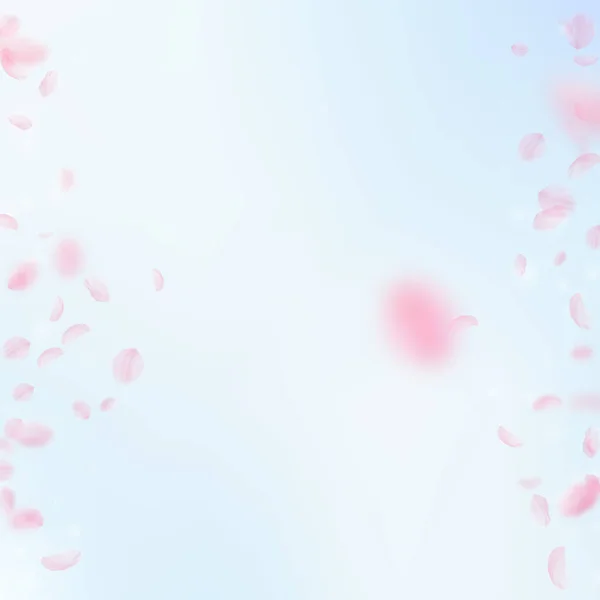 Sakura Blütenblätter Fallen Herunter Romantische Rosa Blütenränder Fliegende Blütenblätter Auf — Stockfoto