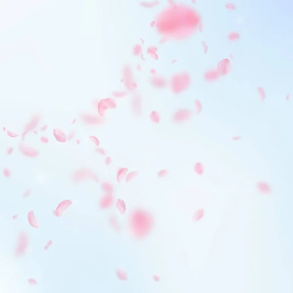 Sakura Petals Falling Romantic Pink Flowers Corner Flying Petals Blue — ストック写真