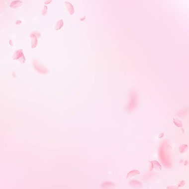 Sakura petals falling down. Romantic pink flowers corner. Flying petals on pink square background. Love, romance concept. Astonishing wedding invitation.