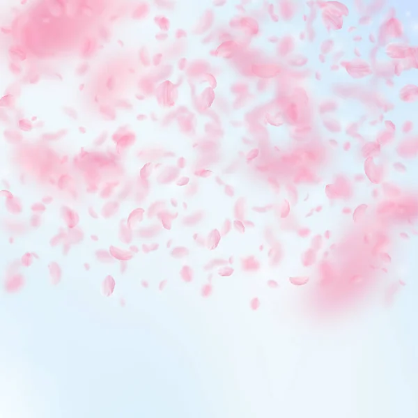 Sakura-Blütenblätter fallen herunter. romantische rosa Blüten Steigung. fliegende Blütenblätter auf blauem Himmel quadratischen Hintergrund. Liebe, Romantik Konzept. Wundersame Hochzeitseinladung. — Stockfoto