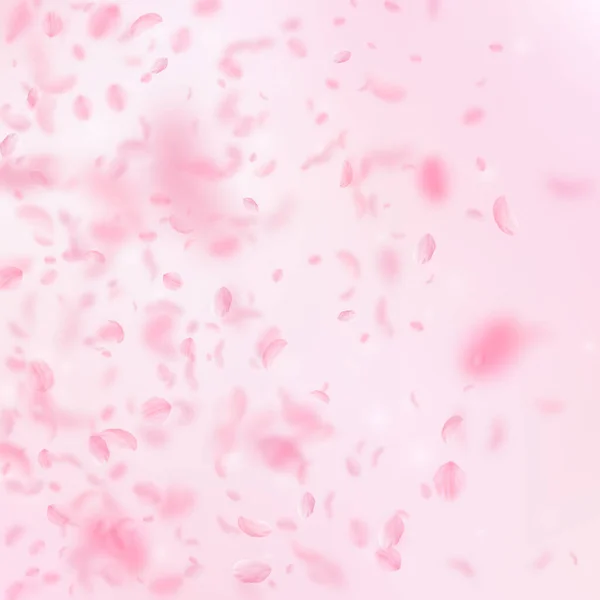 Sakura Petals Falling Romantic Pink Flowers Gradient Flying Petals Pink — Stock Photo, Image