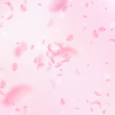 Sakura yaprakları aşağı düşen. Romantik pembe çiçekler patlama. Yaprakları pembe kare arka plan üzerinde uçan. Aşk, romantizm kavramı. Şık düğün davetiyesi.