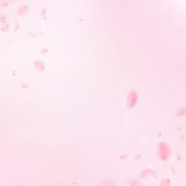 桜の花びらが落ちてきた ロマンチックなピンクの花のコーナー ピンクの四角形の背景に花びらを飛んで 恋愛概念 結婚式の招待状をアピール — ストック写真