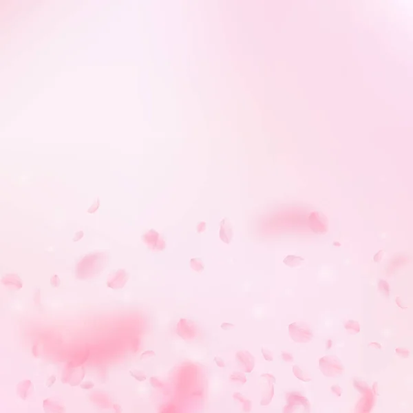 桜の花びらが落ちています ロマンチックなピンクの花のグラデーション ピンクの正方形の背景に花びらを飛んでいます ロマンス概念 ユニークな結婚式の招待状 — ストック写真