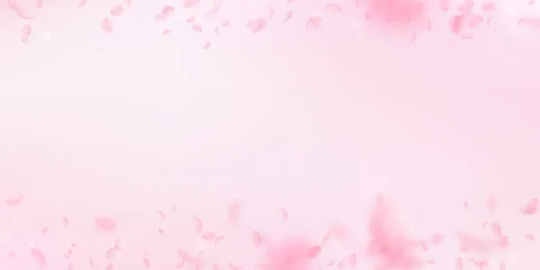 Pétalos Sakura Cayendo Románticas Flores Rosadas Bordean Pétalos Voladores Sobre —  Fotos de Stock